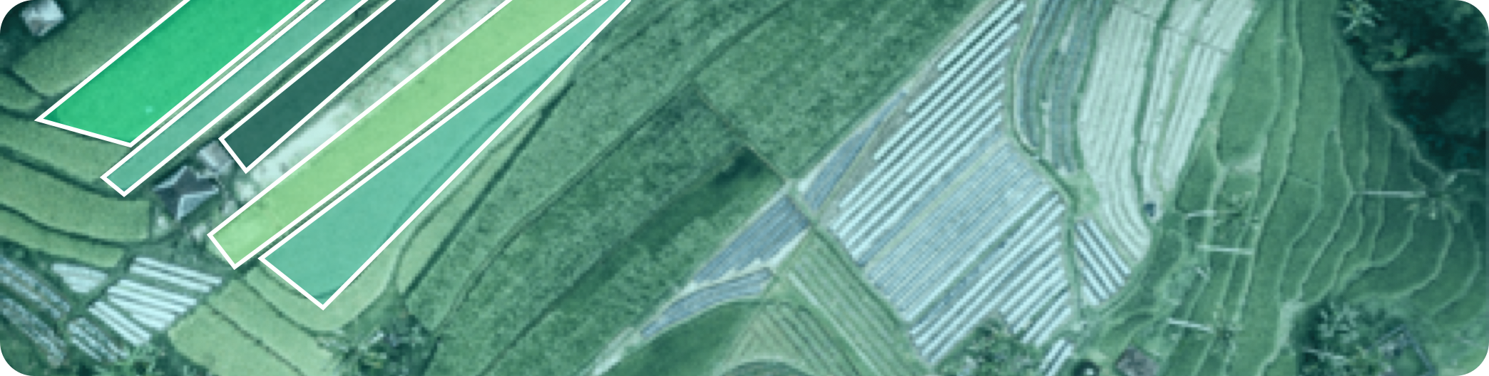 Monitor the crop growth